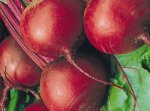 Beetroot Detroit Dark Red Seed - 1 Kg Raw Seed