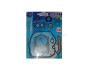 Briggs Gasket Set Quantum Cid 497316 496117