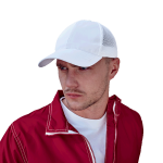 6 Panel Move Cap