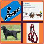 Rogz Classic Step-in Harness Large SSJ06 Opens 53-76CM