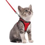 Rabbitgoo Cat Harness And Leash Set For Walking Escape Proof Adjustable Soft Kittens Vest With Reflective Strip For Cats Comfort