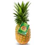 Pineapple Costa Rica Special Concentrate - 10ML