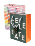 Medium Decorative Gift Bags Assorted - None Stripe