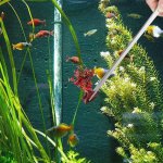 2PCS Long Aquarium Tweezers Straight And Curved Tweezers Stainless Steel Reptile Feeding Tongs Terrarium Aquascape Tools Feeder