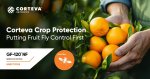 Fungicide Dithane M-45