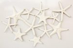 White Metal Starfish Design Wall Hanging – 65X100CM