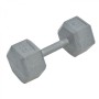 Everlast 15kg Rubber Hex Dumbbell