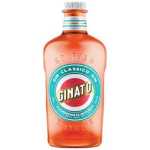 Ginato Clementino 750ML - 6