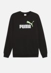 Puma Ess 2 Color No. 1 Logo Crew Fl M Bl