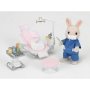 - Country Dentist Set