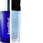 Azzaro - Visit For Men Impression Amplified