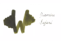 Diamine 150TH Anniversary Fountain Pen Ink Bottle – Safari