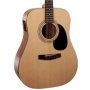 AD810E Op Acoustic-electric Guitar Natural