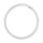 G10Q Circline T5 Triphosphor Fluorescent 32W