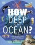 How Deep Is The Ocean? - With 200 Amazing Questions About The Ocean   Hardcover