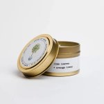 Gold Tin Candle: Lime Leaves & Orange Trees