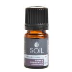 Organic Roman Chamomile Essential Oil Anthemis Nobilis