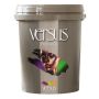 Versus - Status Satin Sheen Interior And Exterior Paint 5 Litre White