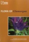 Flora Of Glamorgan Paperback