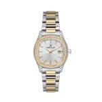 Premium Silver Dial Analogue Watch