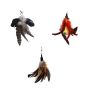 Zabird Refill Set 2 - Flying Fox Hawkmoth & Phoenix