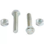 Eureka Screw And Nut Galvanised 12MM X 100MM Q20