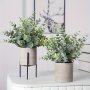 2PCS Simulation Plant Eucalyptus Potted For Shelf Table Home Bathroom Farmhouse Room Coffee Table Decoration