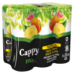 Tropical 100% Fruit Juice Blend 6 X 300ML