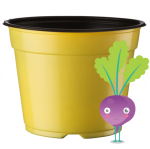 Medium Pots - Yellow