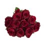 Classic Red Speciality Roses