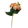 Blush Orange Mix Hydrangea 44CM