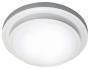 Bright Star Lighting Ceiling Light 24W LED Daylight Aluminium