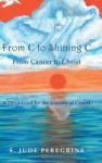 From C To Shining C - From Cancer To Christ: A Devotional For The Journey Of Cancer Hardcover