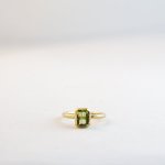 Emerald Cut - Small - Peridot Medium