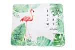 Baby Milestone Blankets - Flamingo