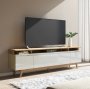 Flynt Modern Tv Stand -2.2M