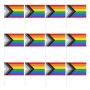 Home Decor Hand Held Progress Lgbtq Pride Flags Set Of 12 30CM