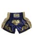 FLUORY Muay Thai Shorts Embroidered Sports Trunks For Boxing Workout Fighting Training