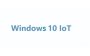 Microsoft Embedded WIN10 Iot Enterprise Ltsc 2019 Individual Key Entry Cpu Restrictions Apply - For Cpu Smaller Then I3