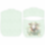 Fsc 0012 Peg Assorted