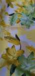Sph Poka Print Super Soft