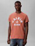 Calvin Klein Mens Calvin College T-Shirt In Brick - Brick XL
