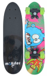Skateboard 21 Inch 53CM