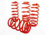 Honda Jamex Lowering Kit For V-tec - Autostyle Motorsport South Africa