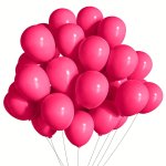 60PCS Rose Red Party Latex Balloons 5INCH Hot Pink Balloon Garland Kit Dark Pink Balloons Fuschia Balloon Matte Rose Red Balloon