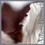 Leaf Metal   Cd