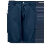 Rogue Shorts