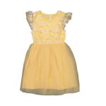 Younger Girl Flower Mesh Dress