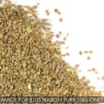 Celery Seeds