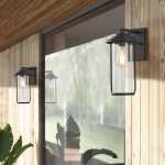 Elliott Outdoor Lantern Light With Clear Glass
